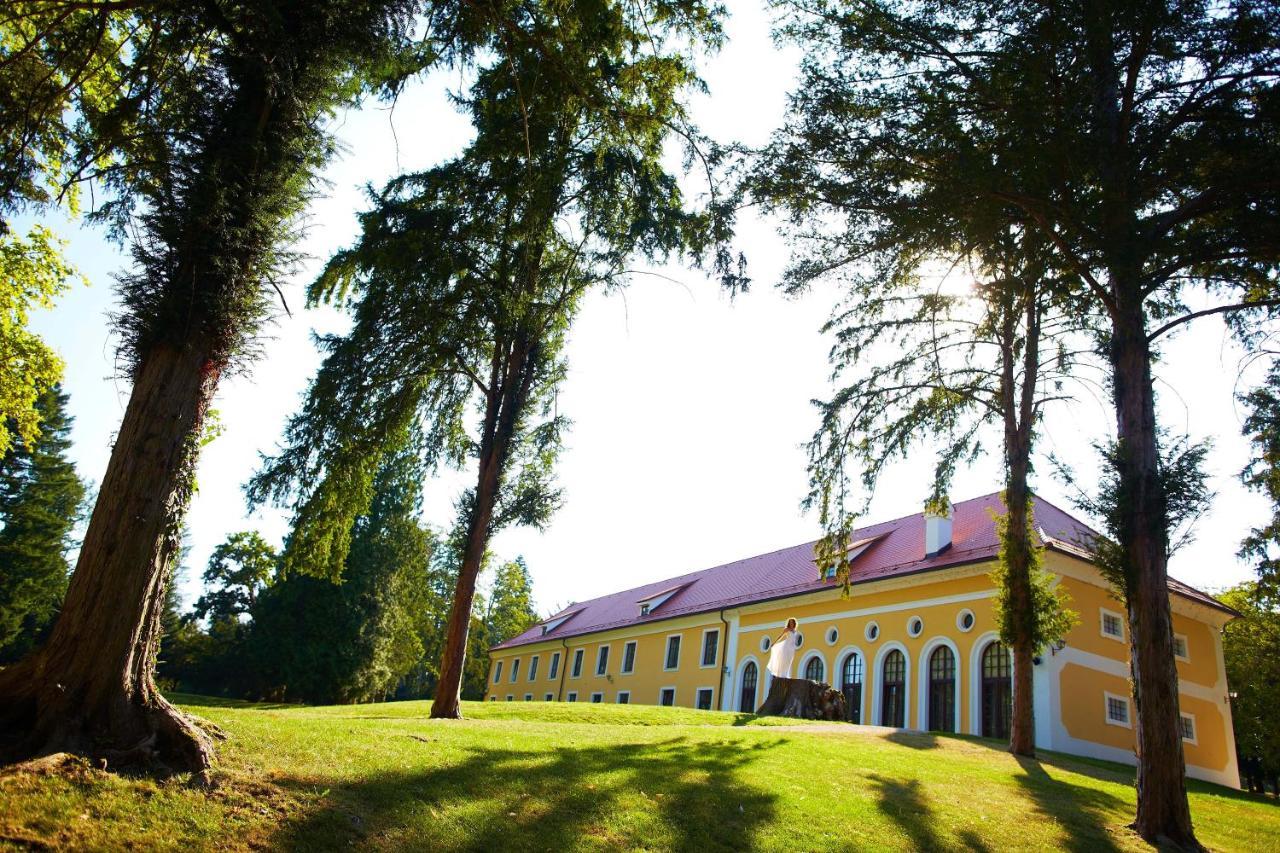 ホテル Mokrice Castle Estate Obrezje エクステリア 写真