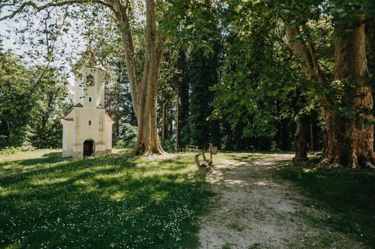 ホテル Mokrice Castle Estate Obrezje エクステリア 写真