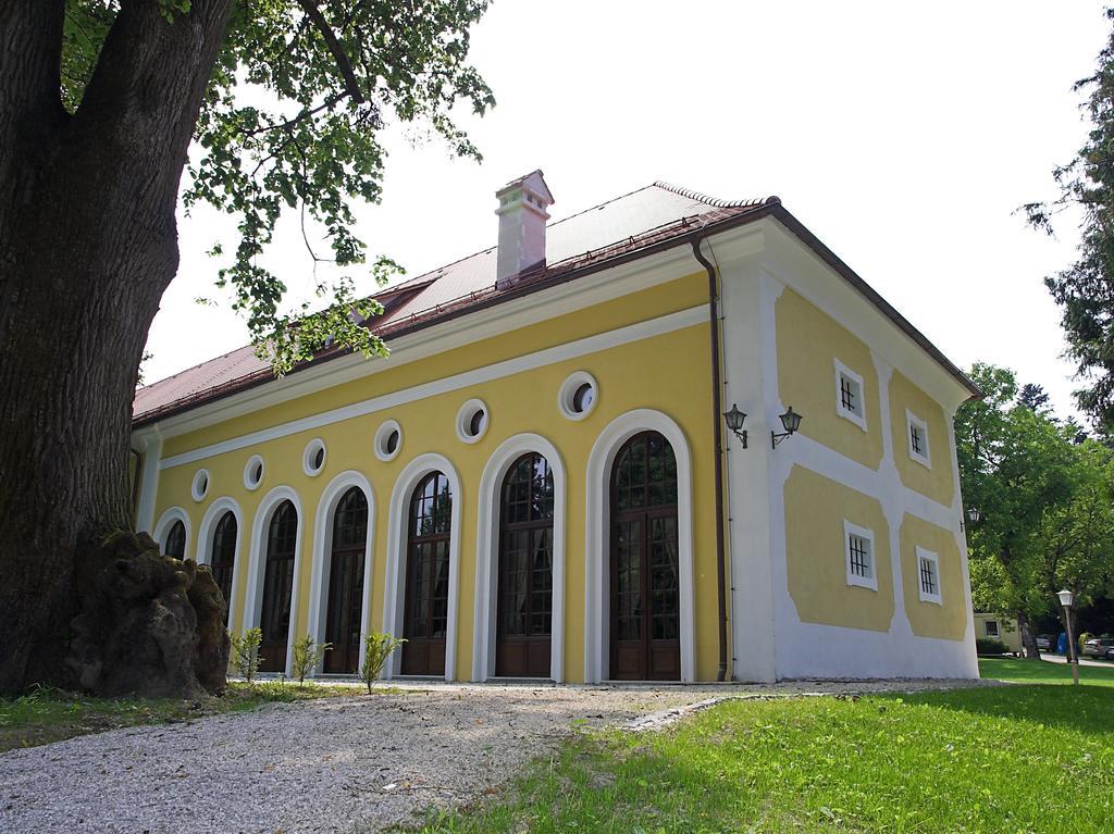 ホテル Mokrice Castle Estate Obrezje エクステリア 写真